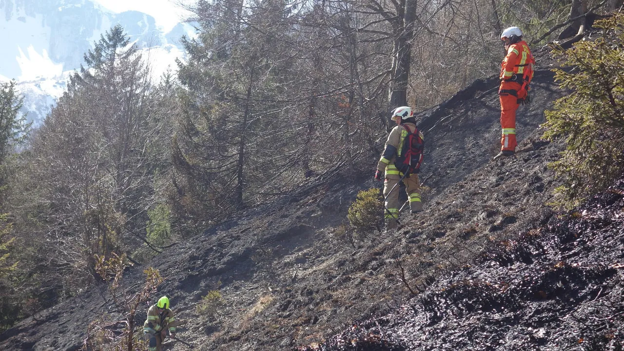 waldbrand_kirchdorf_20200407_6.jpg